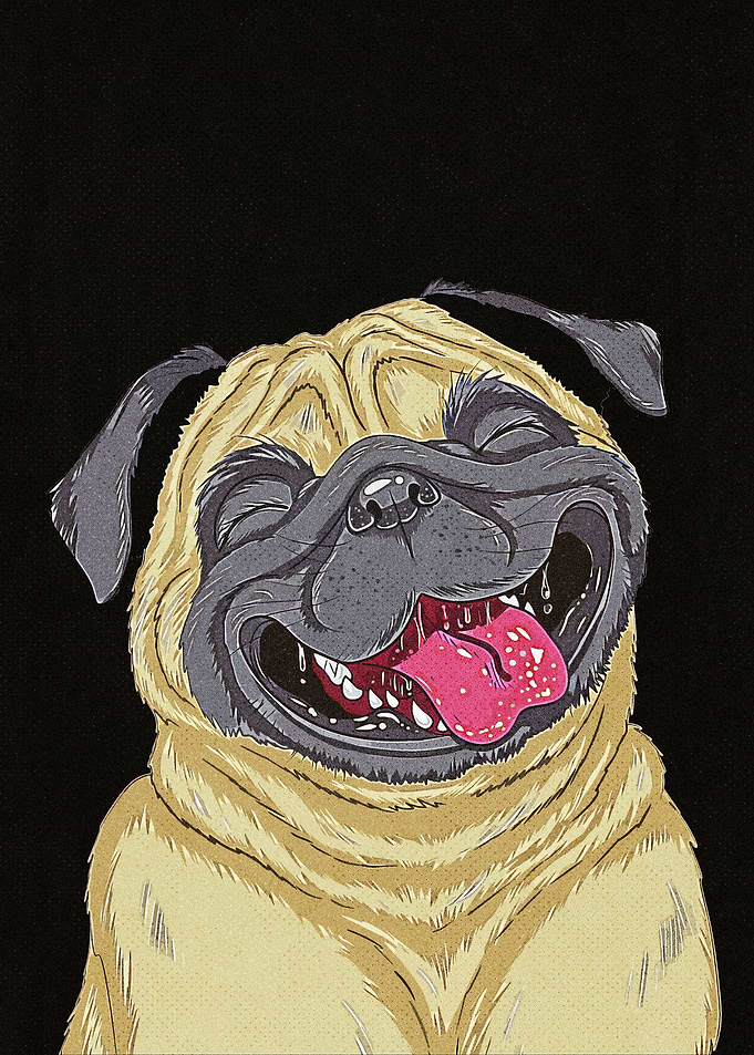 Funny Dog