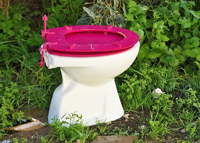 Purple toilet seat