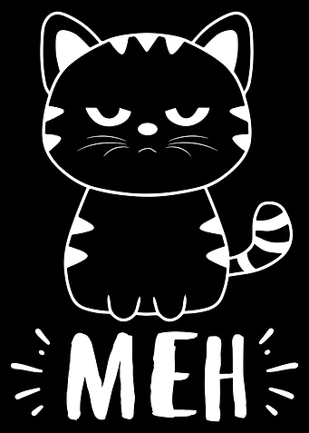 Funny Cat Meh Cat Lover