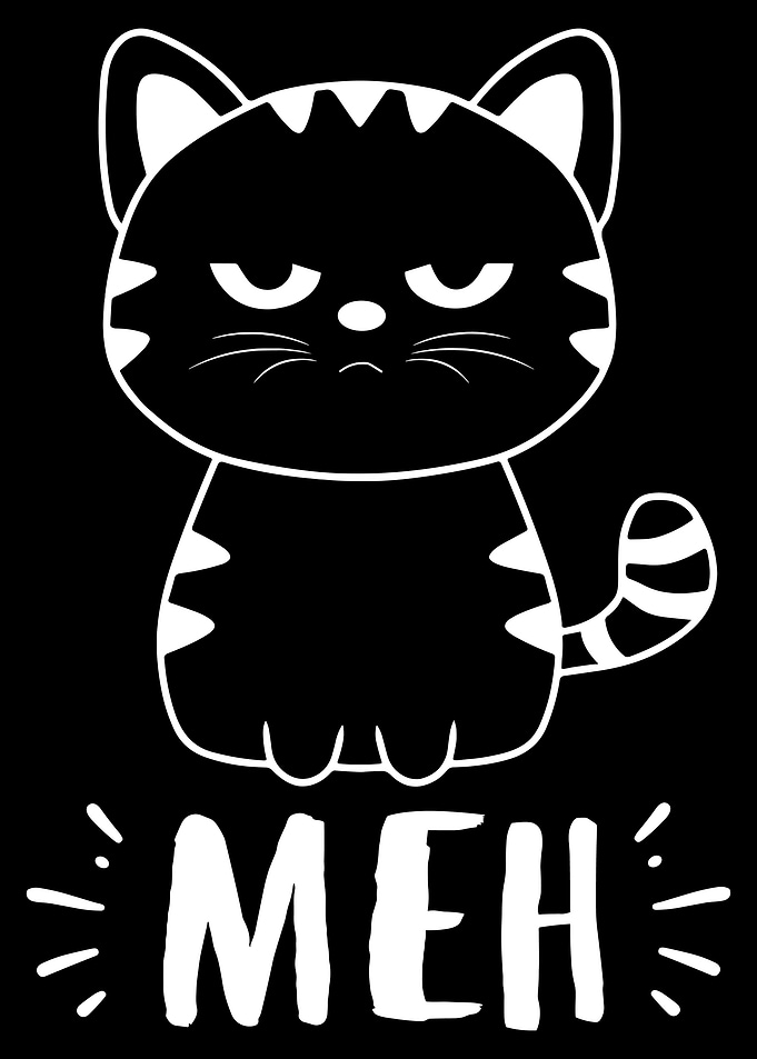 Funny Cat Meh Cat Lover