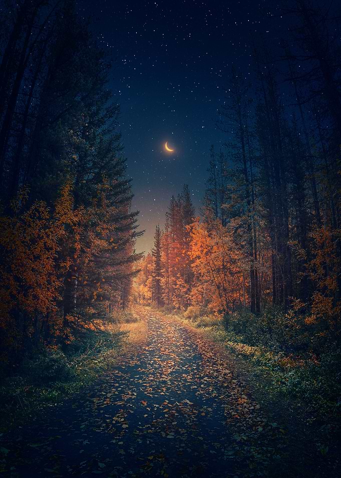 CRESCENT TRANQUILITY