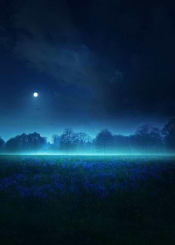 LUNAR SERENITY