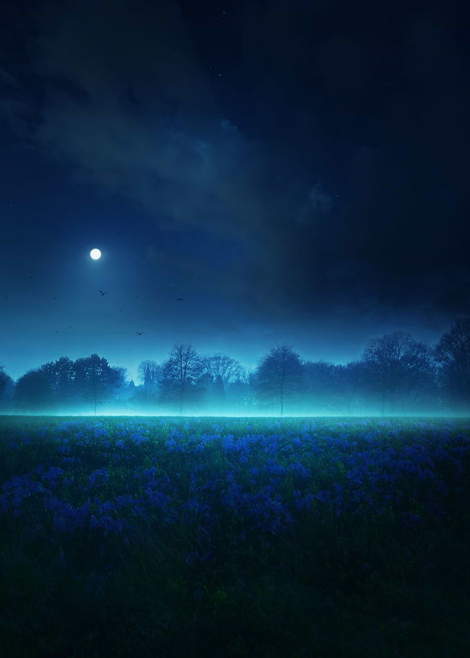LUNAR SERENITY