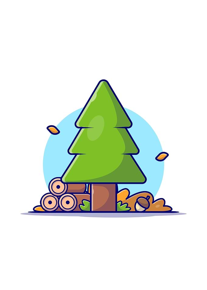 Pinus Tree with Woods