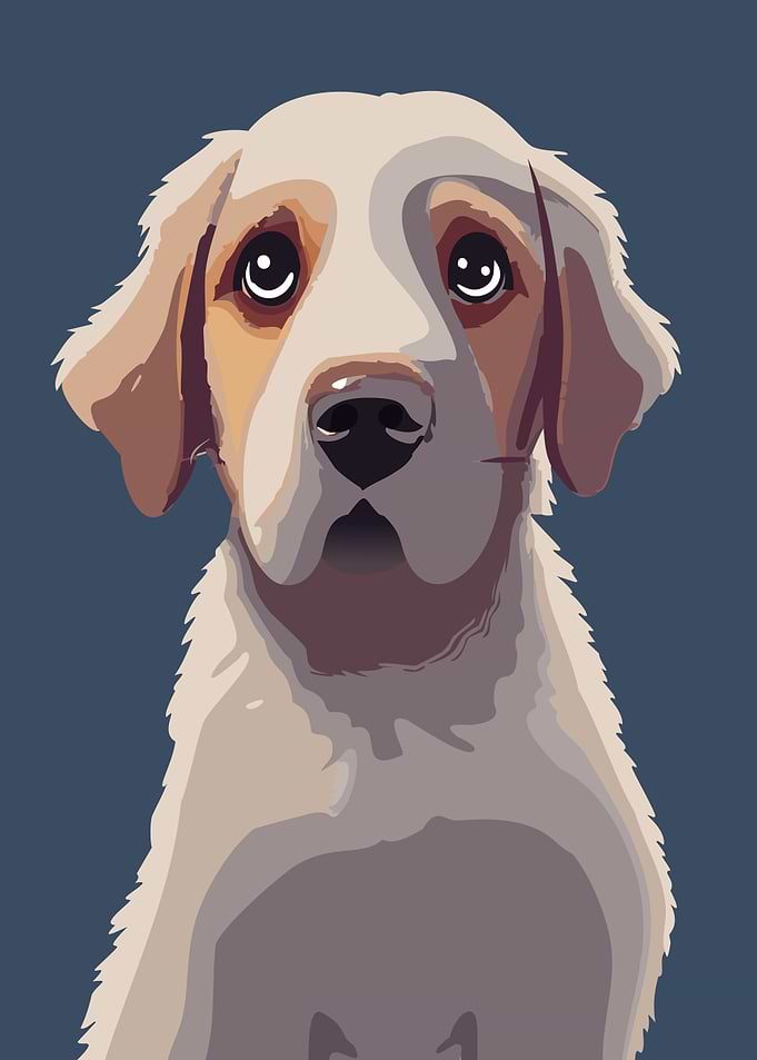 Cute Doggy