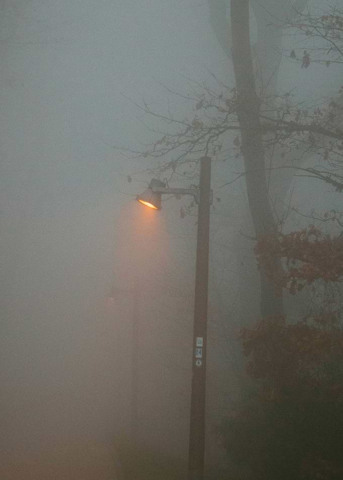 Solitary Light