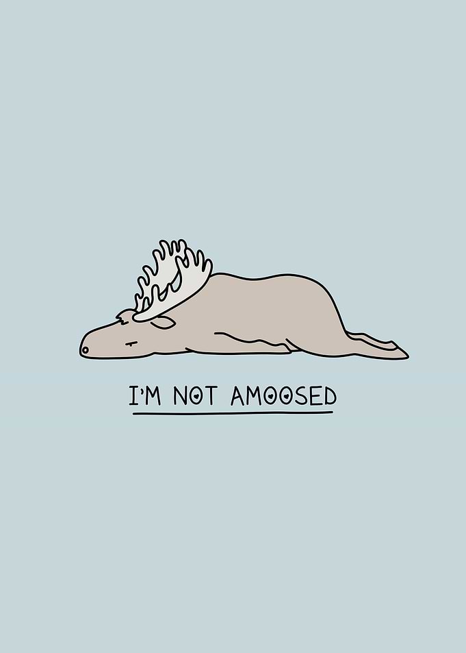 Funny moody animal