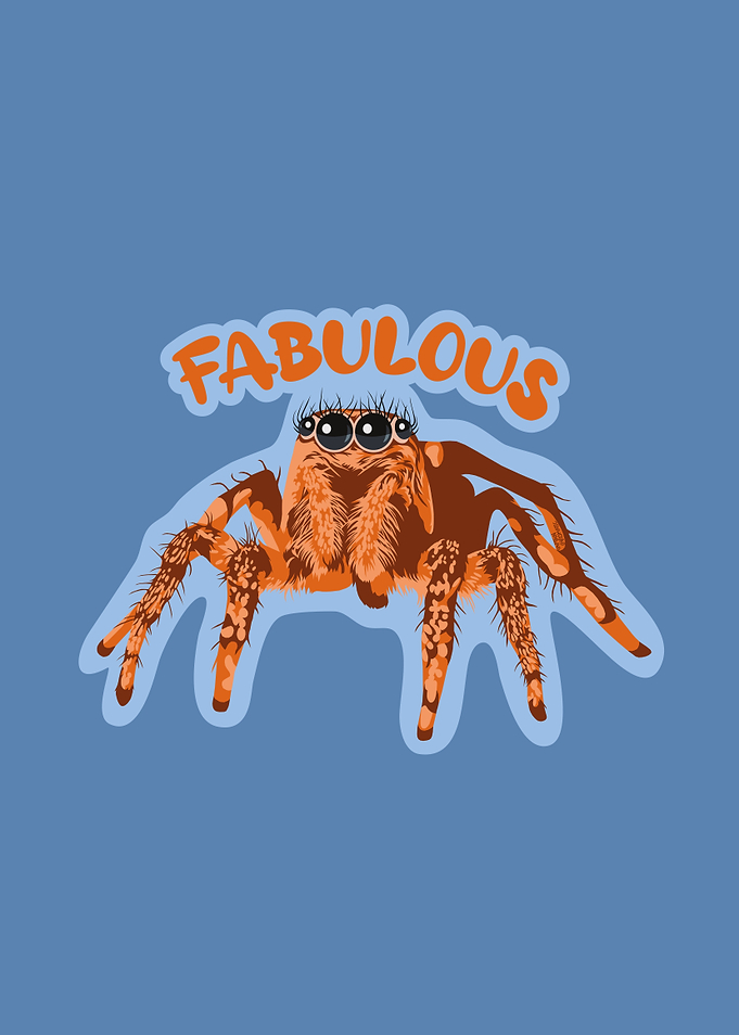 Fabulous jumping spider
