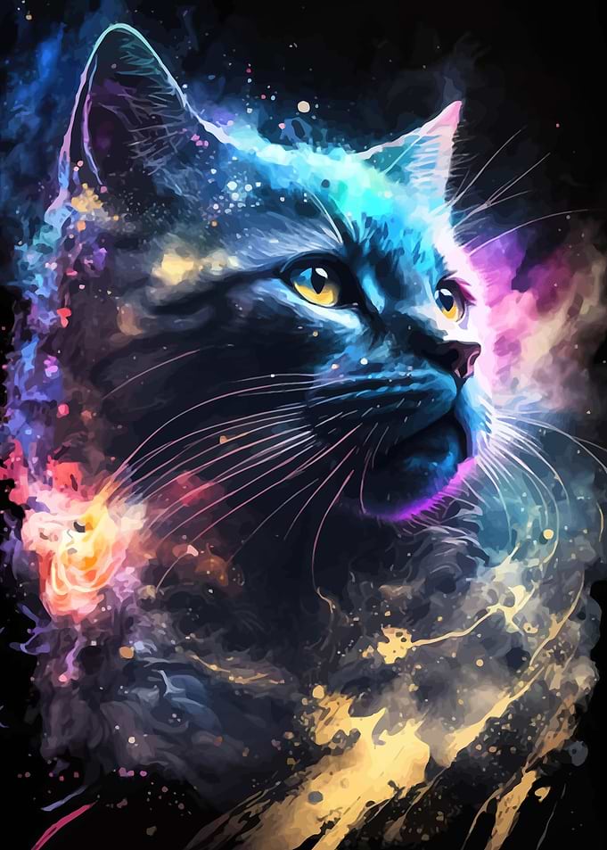 Space Cat