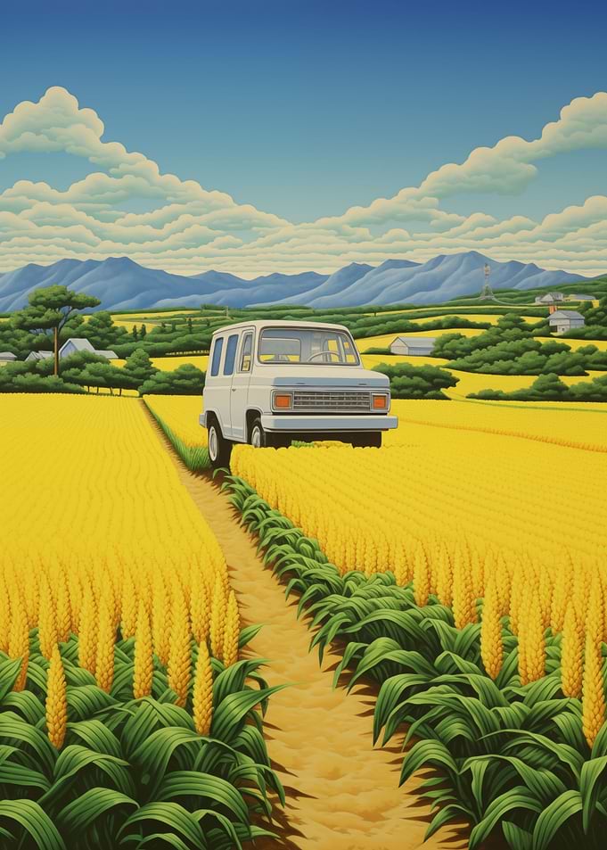 Car Parked In Corn Fields