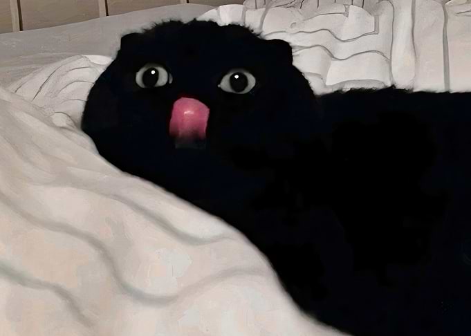 That one weird black cat