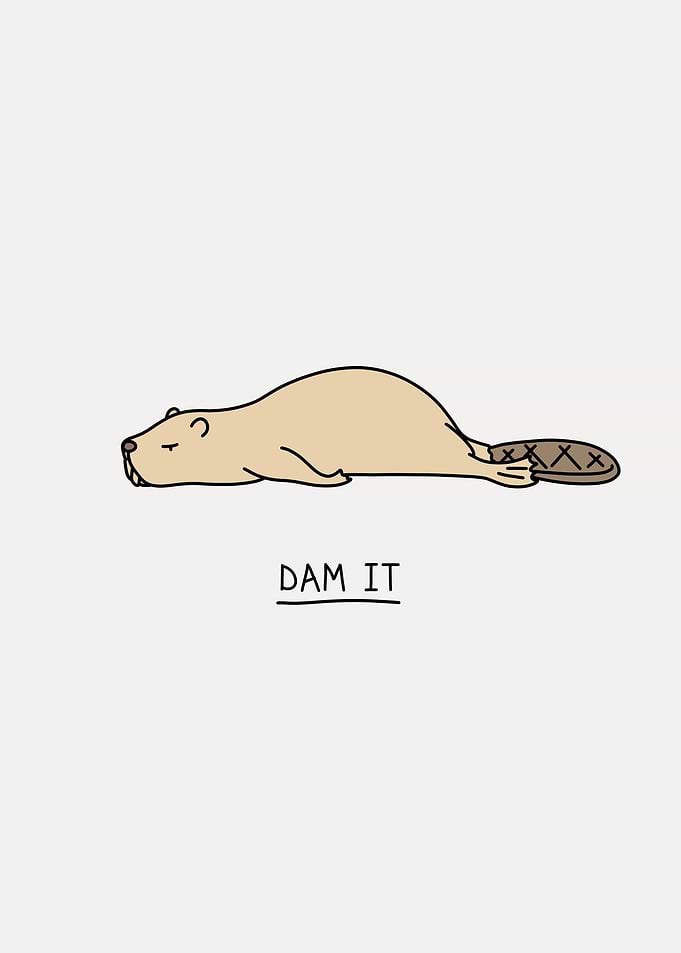 Dam it