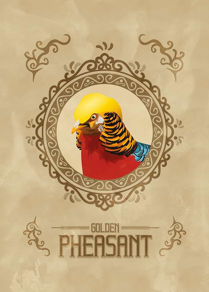 Golden pheasant