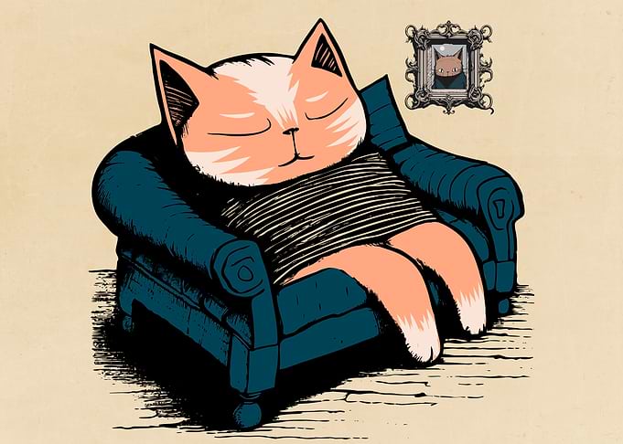 Sweet Cats