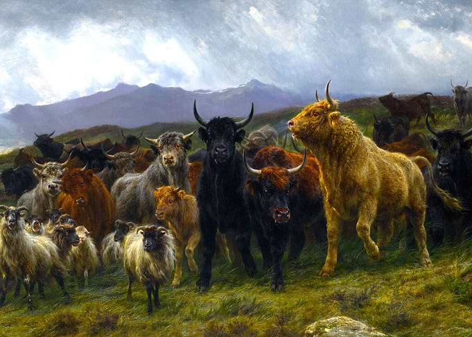 Highland Raid Rosa Bonheur