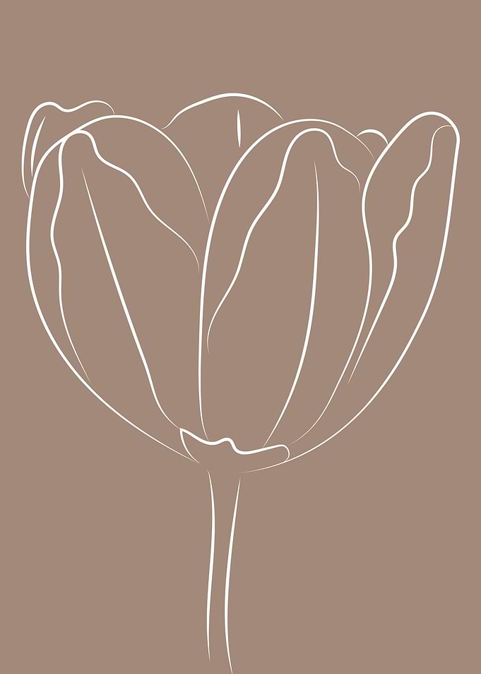 Botanical tulip flower
