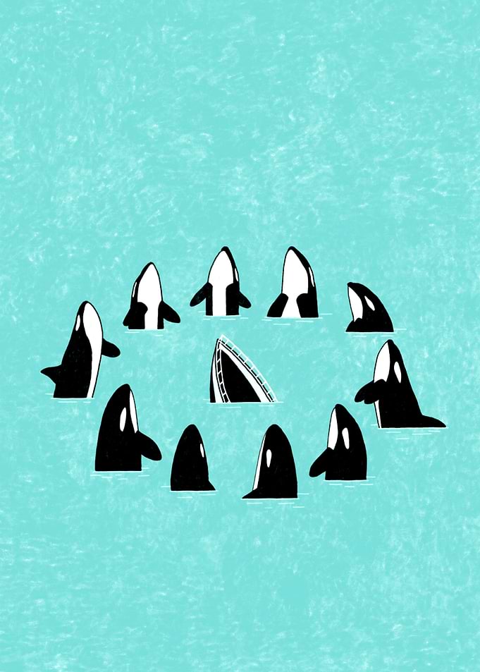 Whale war