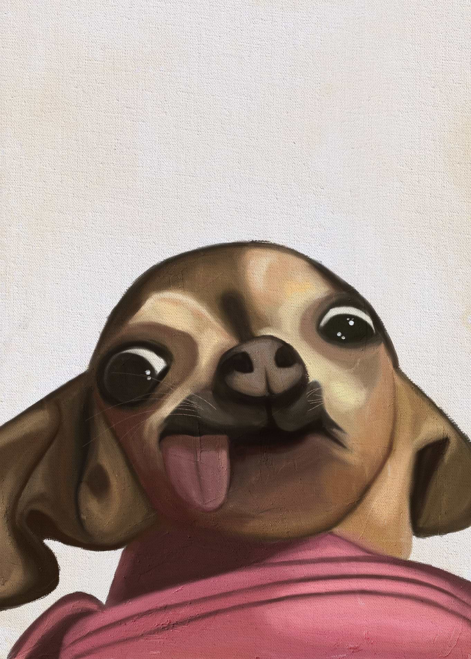 Perritos reacciones