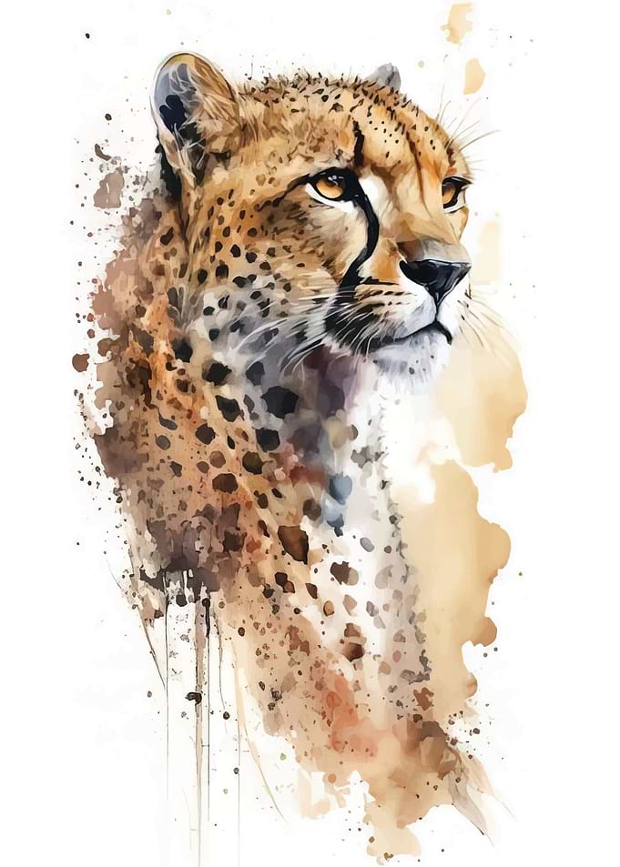 cheetah animals