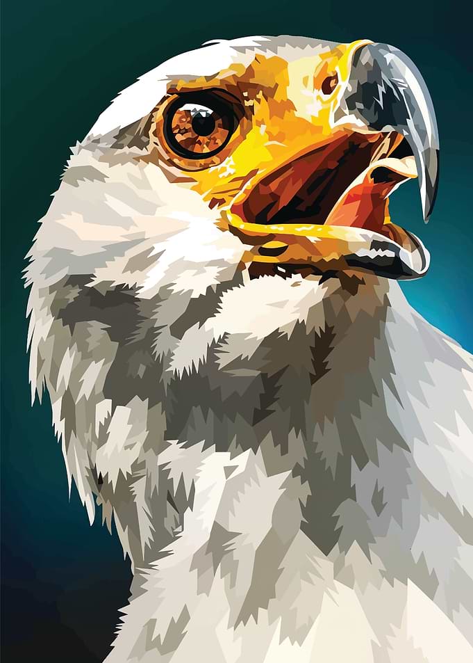 eagle animals
