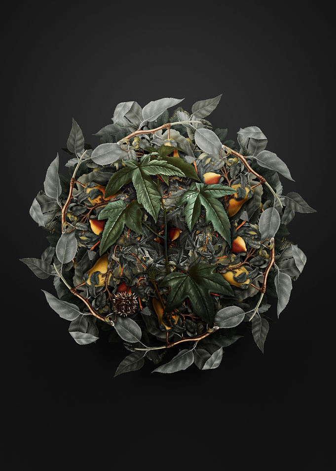 American Sweetgum Wreath