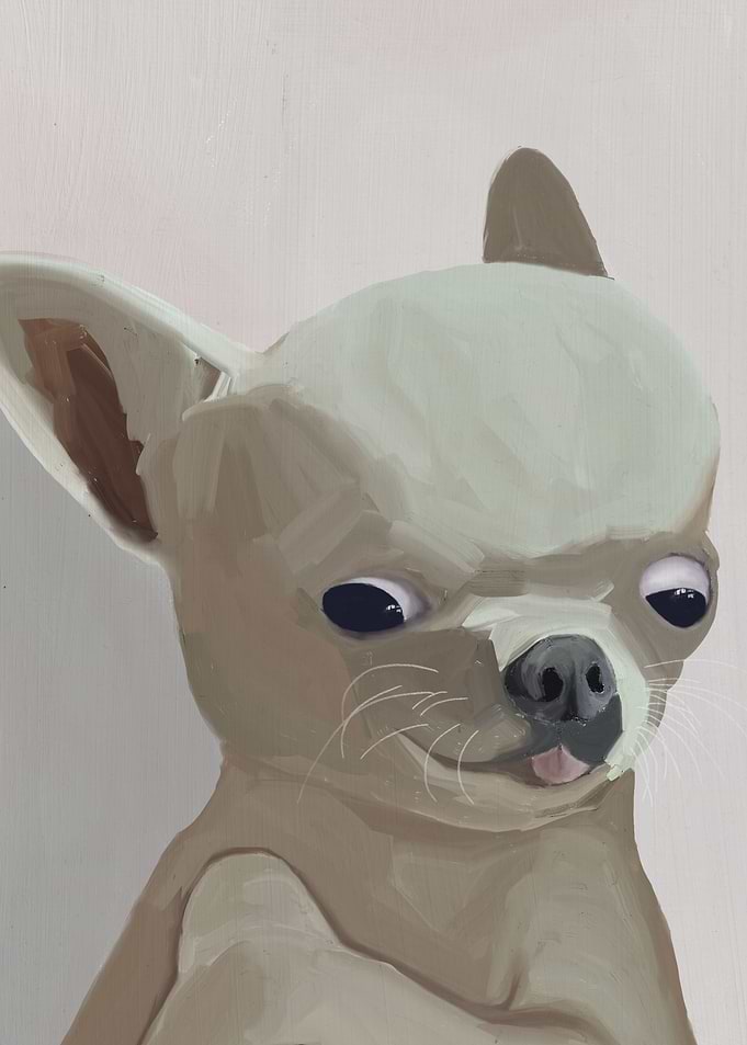Chihuahua Meme
