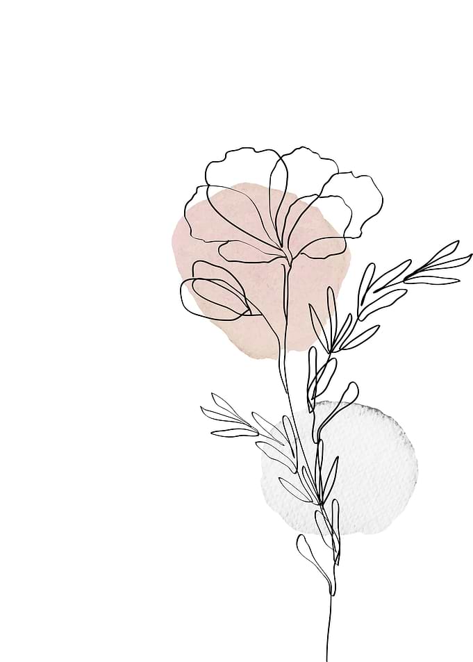 Flower minimal modern art