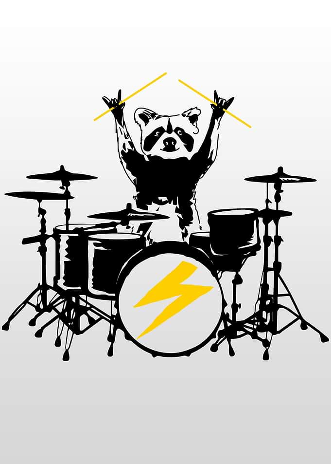 Raccoon Drummer