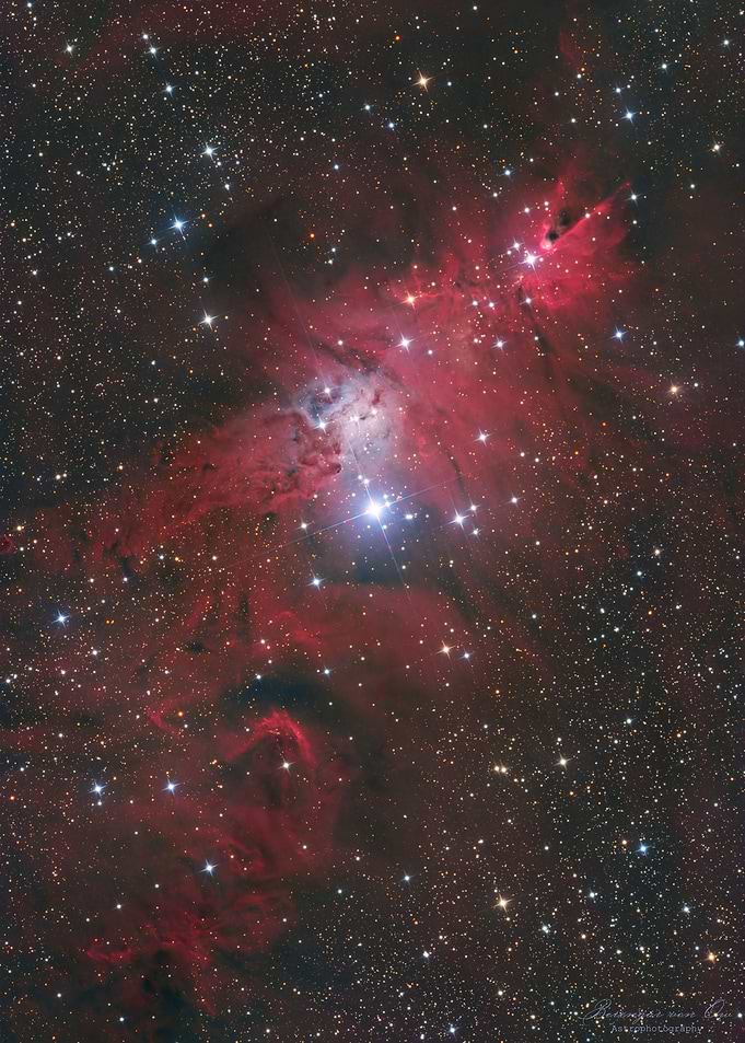 Christmas Tree Cluster