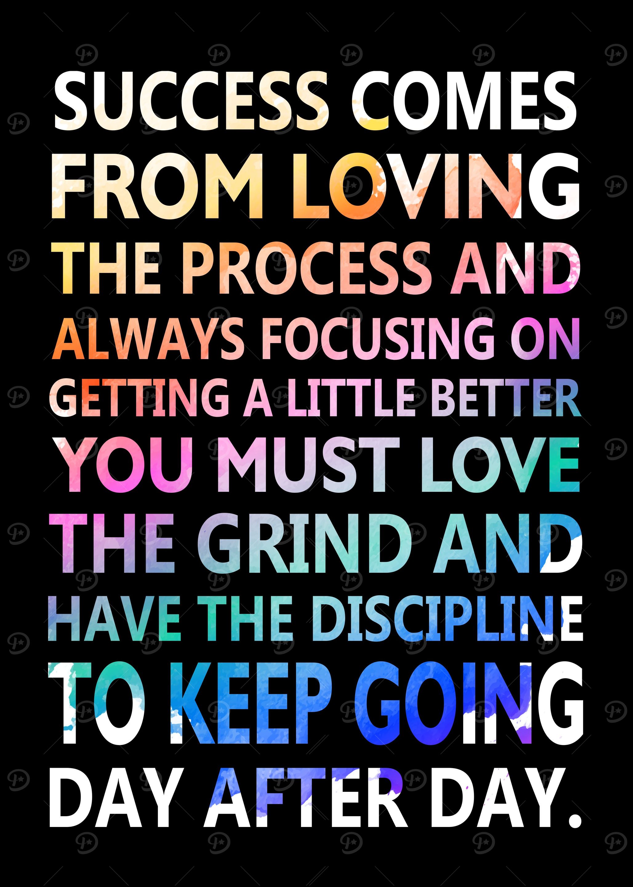 Success Loving The Process