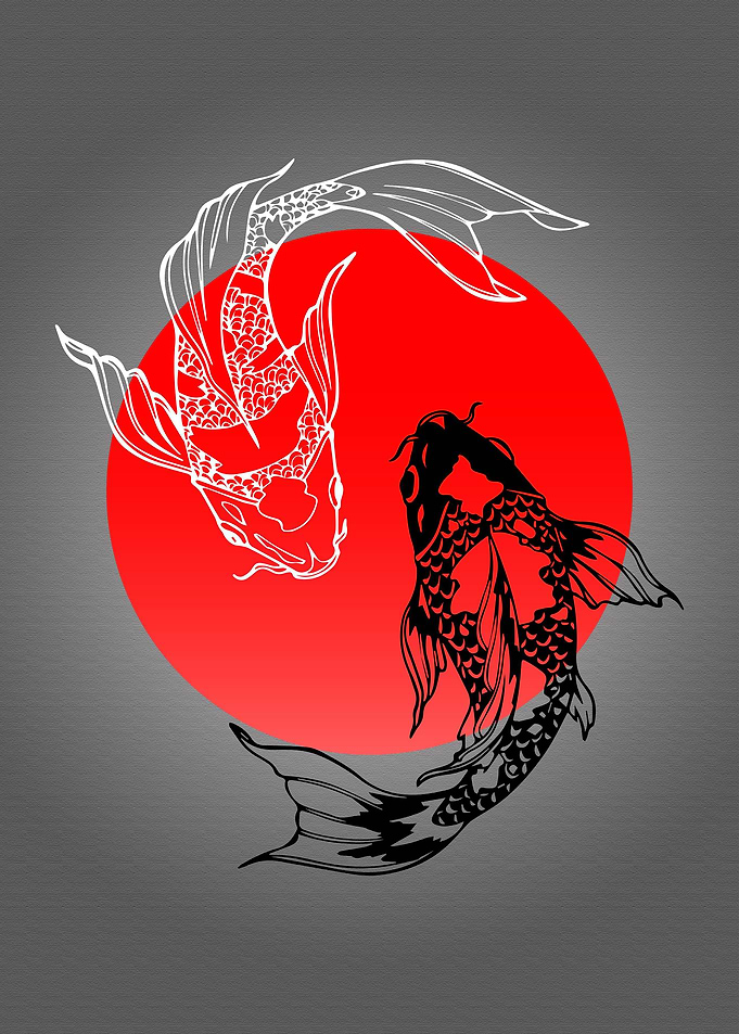 Koi Fish Yin Yang