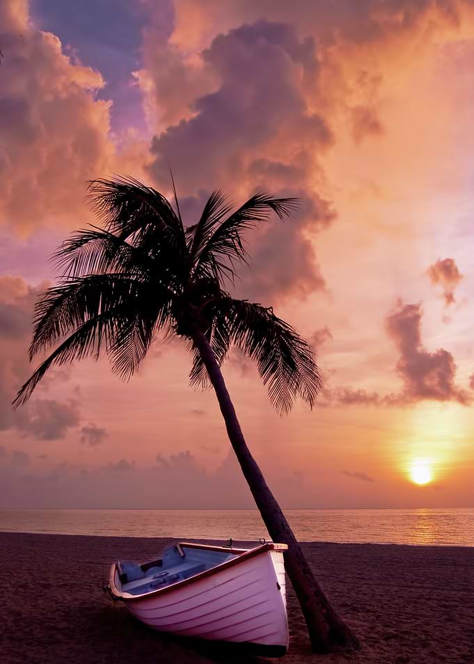 Scenic Wonder