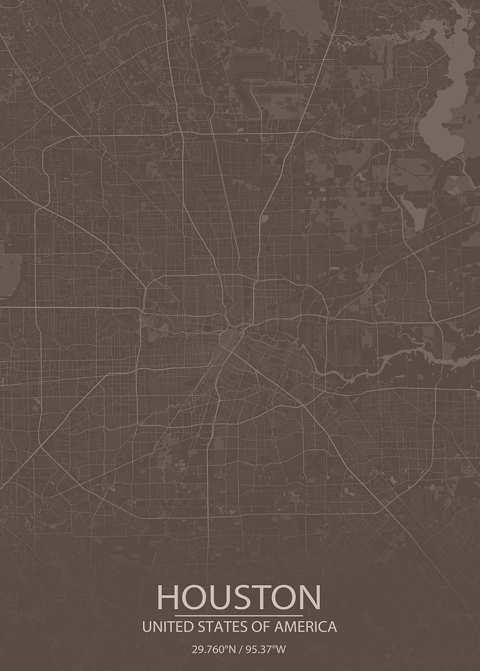 Houston TX Grey Brown Map