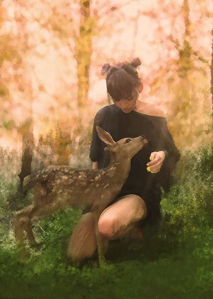 Baby Deer