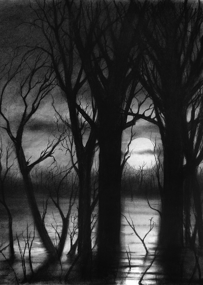 Moon rise and lake