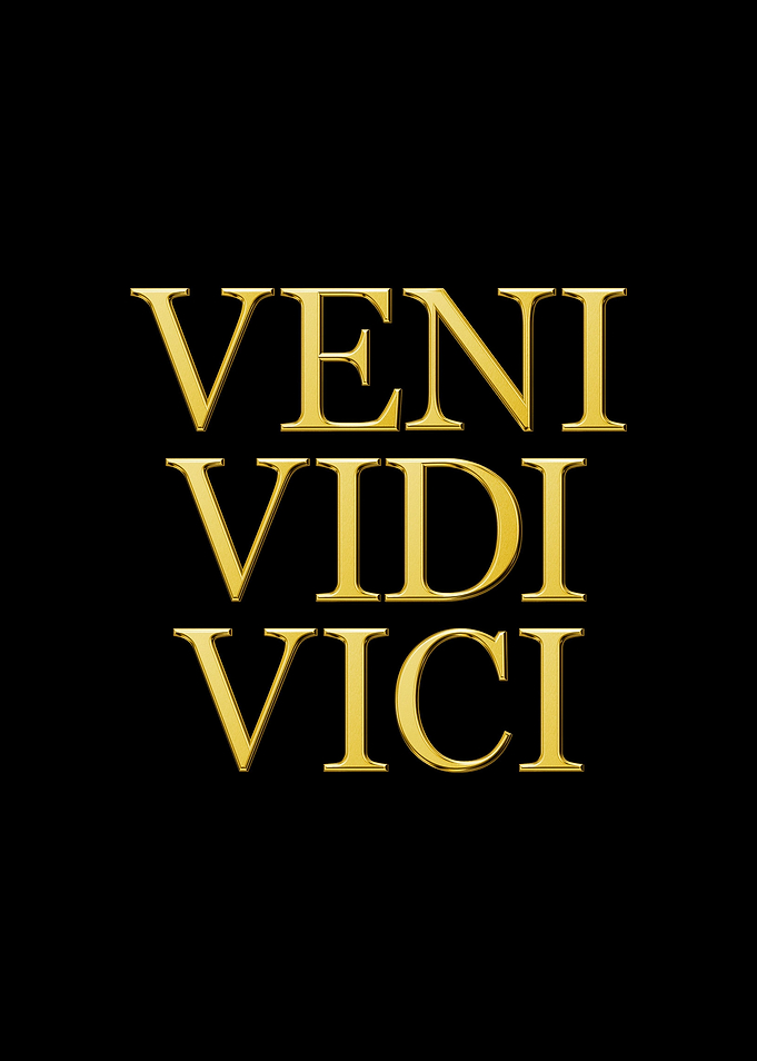 Vini Vidi Vici