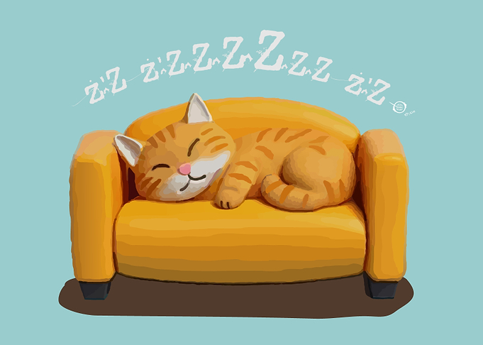 Sleeping Cat