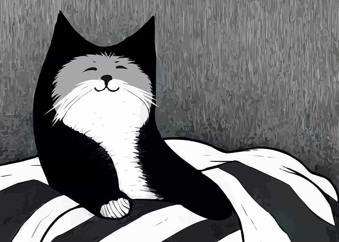 Sweet Cats