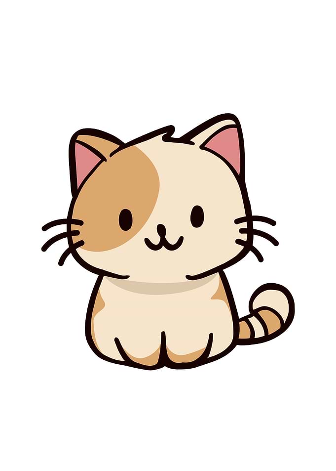 Calico Cat cute