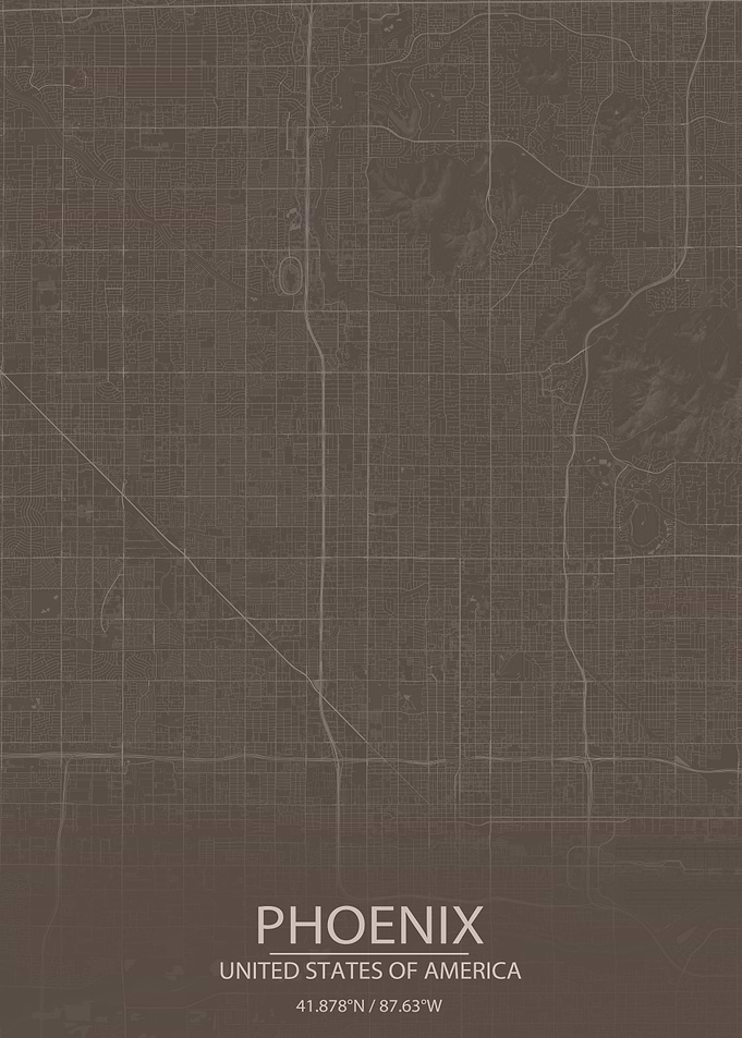 Phoenix AZ Grey Brown Map