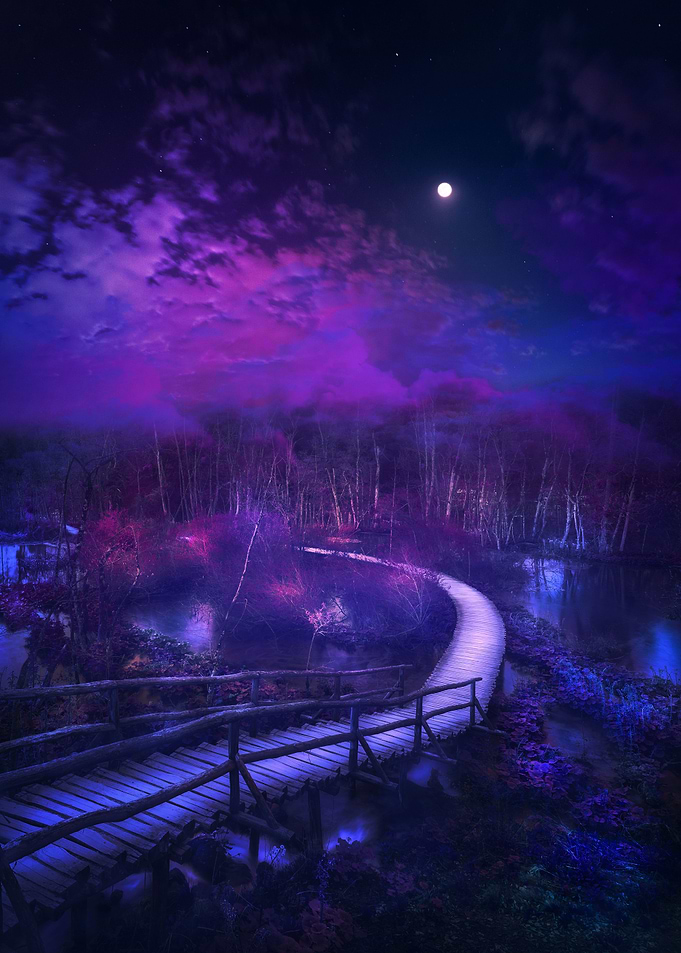 NIGHTFLOW