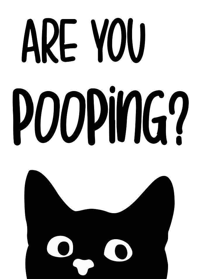 Funny Black Cat