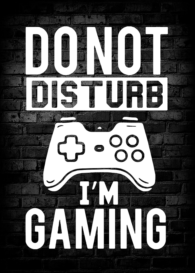 Do Not Disturb I Am Gaming