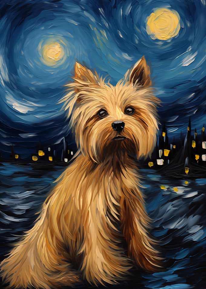 Yorkshire Terrier