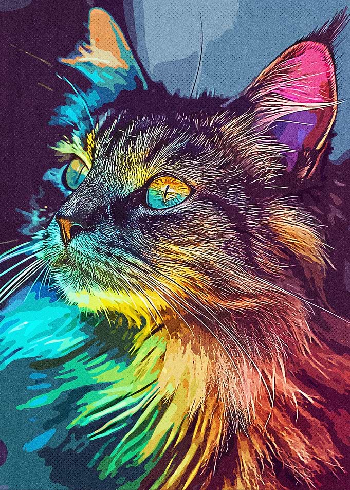Rainbow Cat