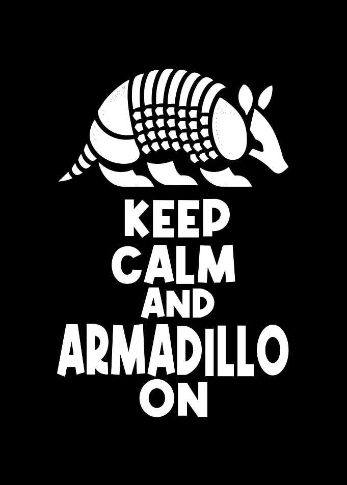 Armadillo Chlamyphoridae
