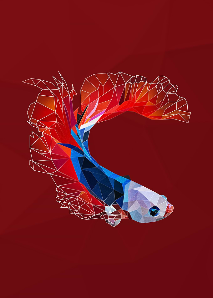 Low poly koi