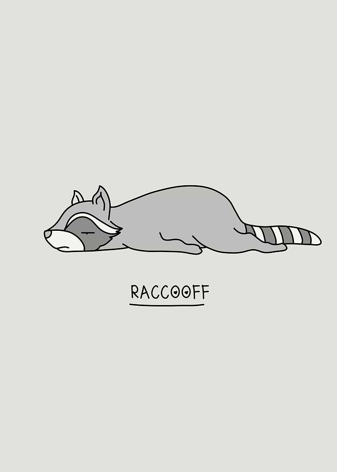 Raccooff