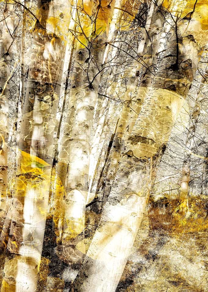 Autumn abstract