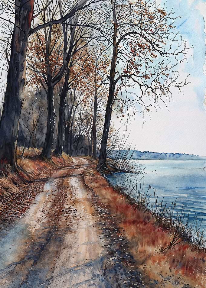 Autumn Trail